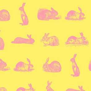 Illustrated Rabbits in Pink with a Soft Yellow Background