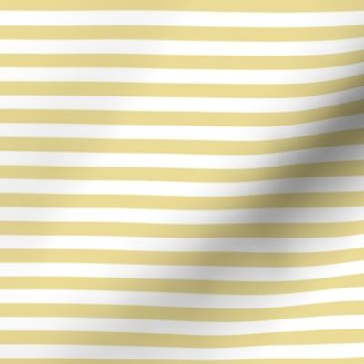 Custard Bengal Stripe Pattern Horizontal in White