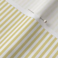 Small Custard Bengal Stripe Pattern Horizontal in White