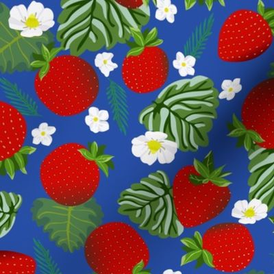 Strawberry - blue - medium