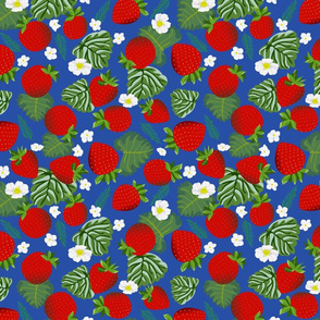 Strawberry - blue - medium