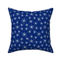 Star of the stars - dark blue background