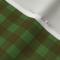 xs-check brown on green  