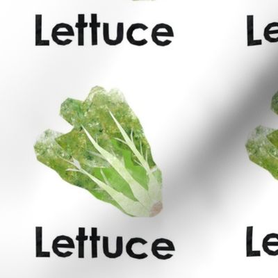 lettuce - 6" panel