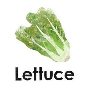 lettuce - 6" panel