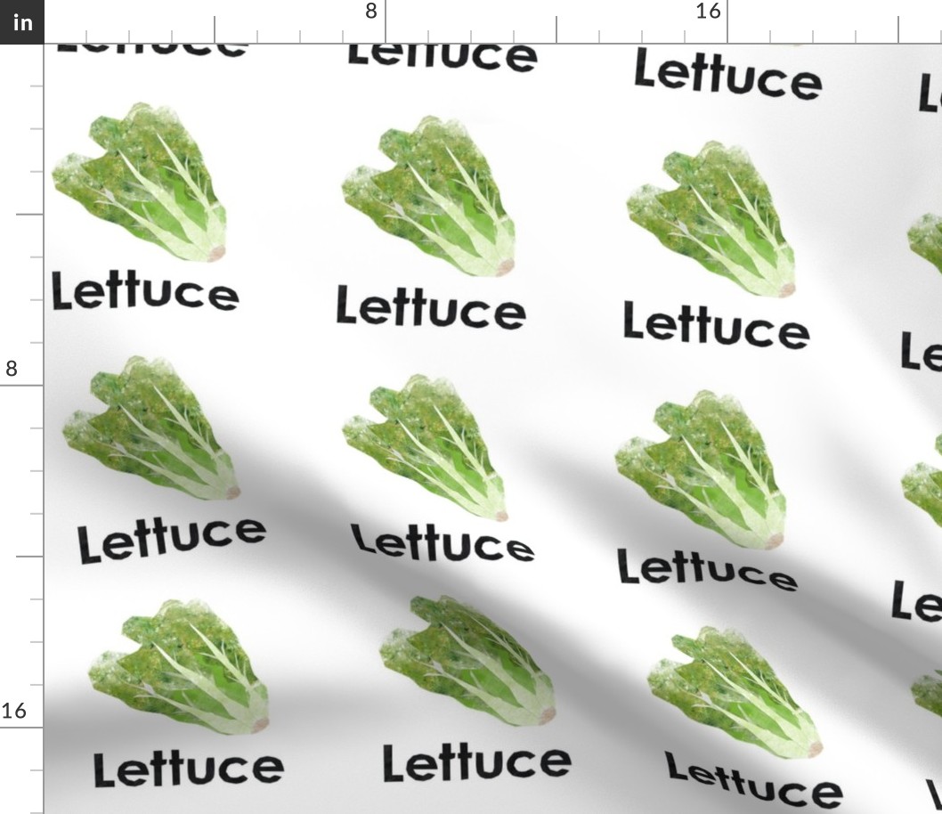 lettuce - 6" panel