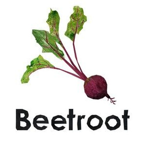 Beetroot - 6" panel