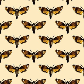  Death's Head Hawkmoth on Cream 1/2 Size