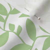 Orchard - Botanical Leaves Simplified White Green HEX CODE BDD3A1 Regular Scale
