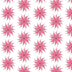 Zebra_flower_Solo__pink_