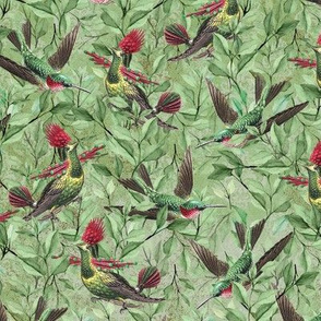 Hummingbirds in the Leaves