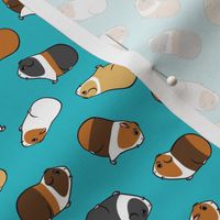 (small scale) Guinea Pigs - tossed on teal - LAD21