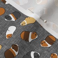 (small scale) Guinea Pigs - tossed on grey - LAD21
