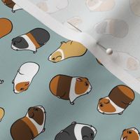 (small scale) Guinea Pigs - tossed on dusty blue - LAD21