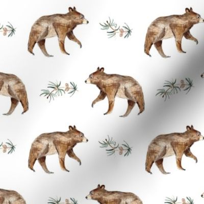 bear and fir