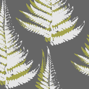 Fern - eco green