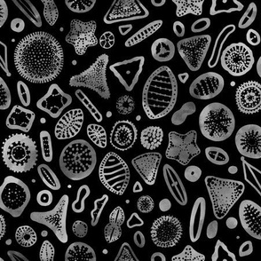 Diatoms - Microscopic STEM Science Algae Sea Life - Black & White Monochrome