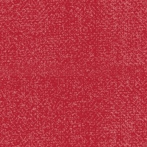 Textured Canvas Rowboat Red