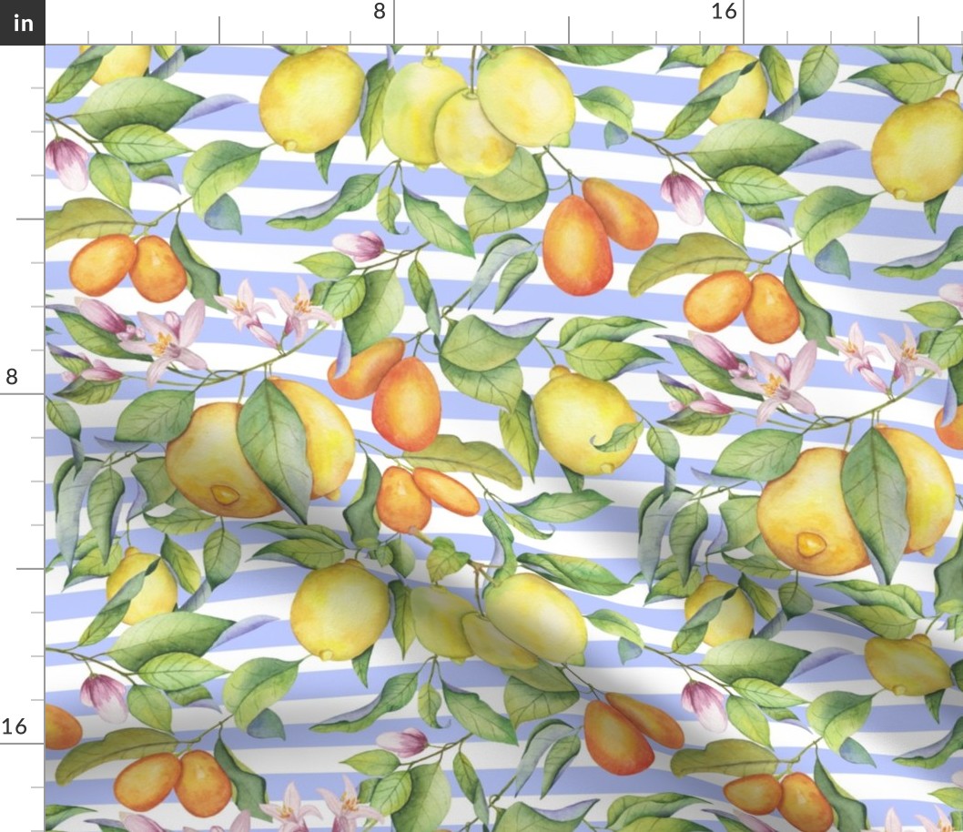 Citruses, lemon and kumquats on stripes