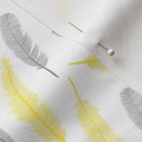 Gray and yellow feathers