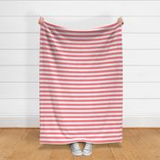 Large Shell Pink Awning Stripe Pattern Horizontal in White