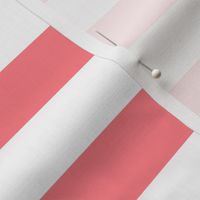Large Shell Pink Awning Stripe Pattern Horizontal in White