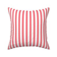 Shell Pink Awning Stripe Pattern Vertical in White