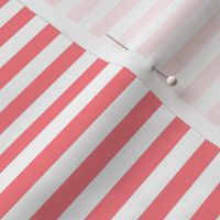 Shell Pink Bengal Stripe Pattern Horizontal in White