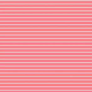 Small Shell Pink Pin Stripe Pattern Horizontal in White