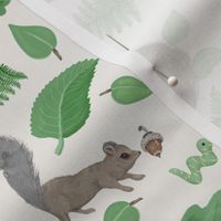Woodland Squirrels And Friends Tiny