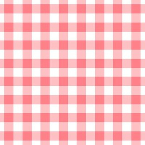 Gingham Pattern - Shell Pink and White