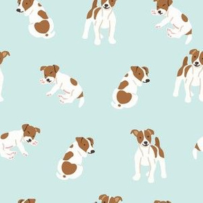 Jack russell terrier dog on mint