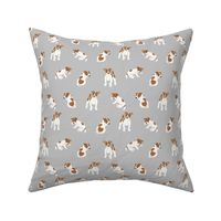 Jack russell terrier dog on grey