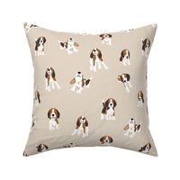 Beagle dog on beige