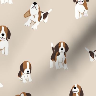 Beagle dog on beige