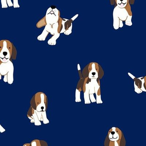 Beagle dog on dark blue