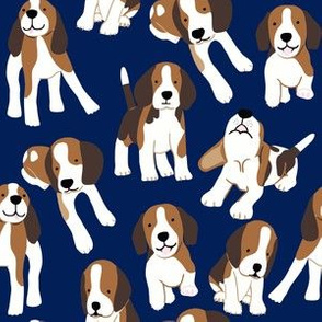 Beagle dog on dark blue