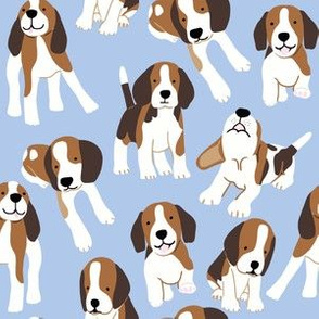 Beagle dog on blue 
