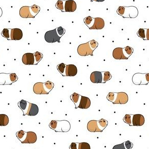 (small scale) Guinea pigs - polka dots on white - LAD21