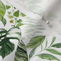 Tropical Paradise / White - Summer, Leaves, Botanical