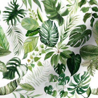 Tropical Paradise / White - Summer, Leaves, Botanical