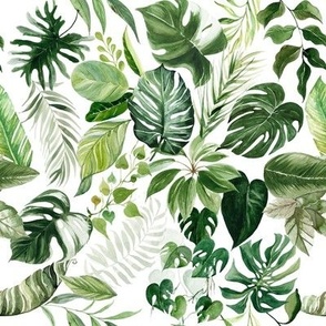 Tropical Paradise / White - Summer, Leaves, Botanical