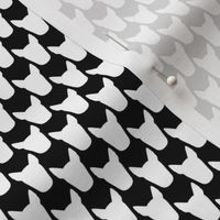 Bully Dogtooth