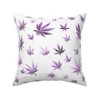 Purple Marijuana