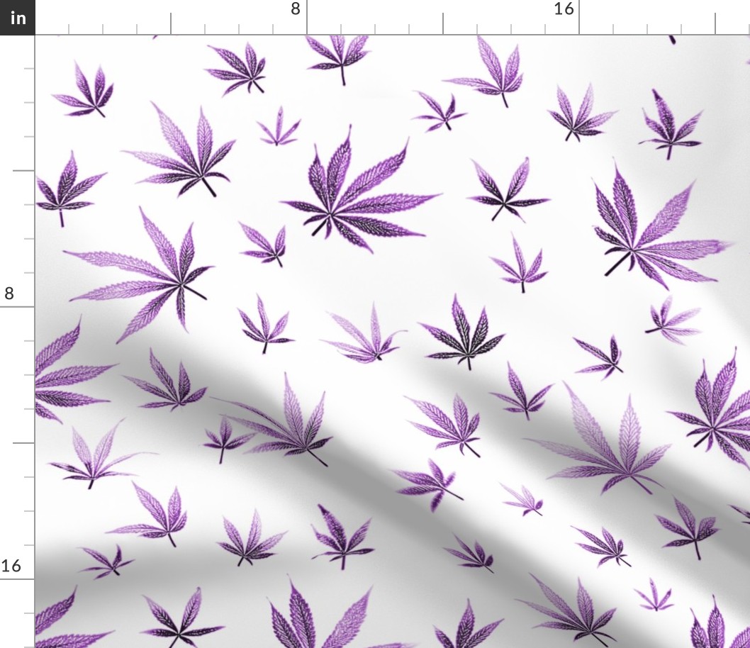 Purple Marijuana
