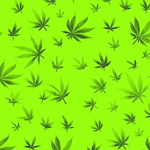 Green Marijuana