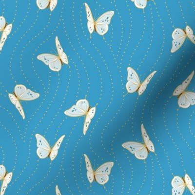 White Eyelet Butterflies | Small | Blue Cheer