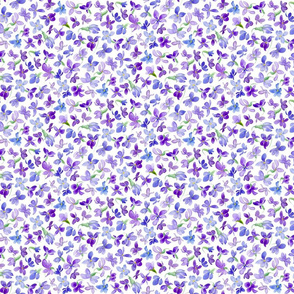 Violets Pattern