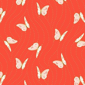 White Eyelet Butterflies | Small | Bold Coral