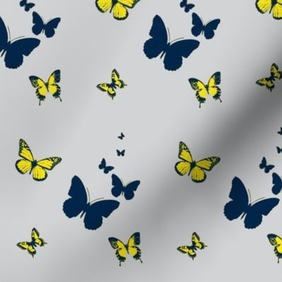 Butterfly Flight - Gray-Yellow-Navy